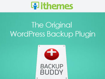 IThemes BackupBuddy WordPress Plugin